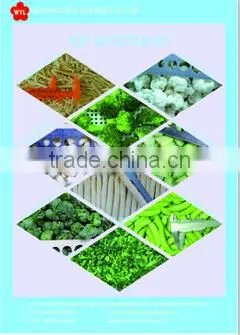 IQF China frozen Garlic clove hot selling