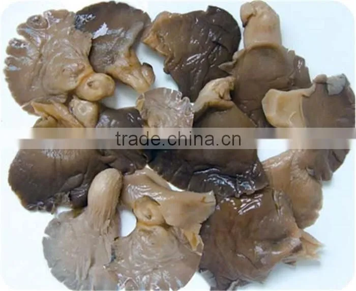 CANNED OYSTER MUSHROOM