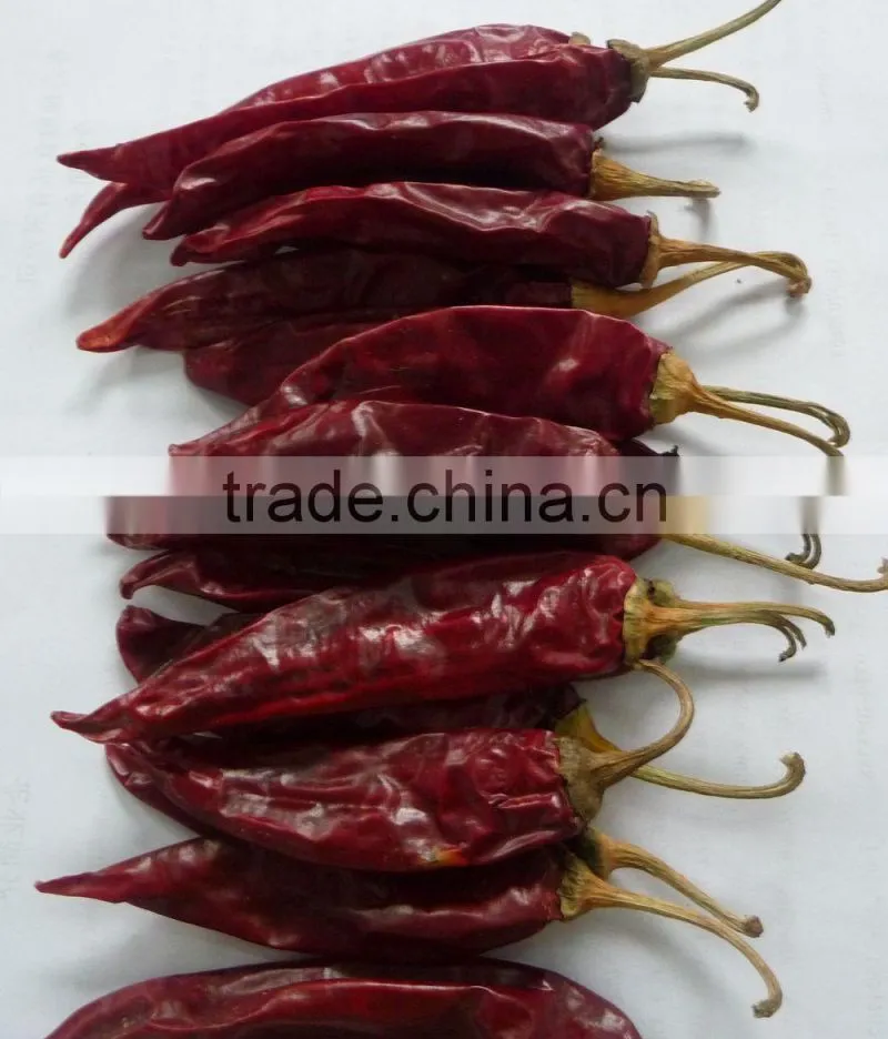2015 new crop High Qualilty 80-240 asta with Competitive Price sweet red paprika chilli from China Manufacturer