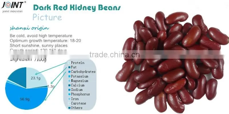 ECO- friendly organic England dark red kidney beans