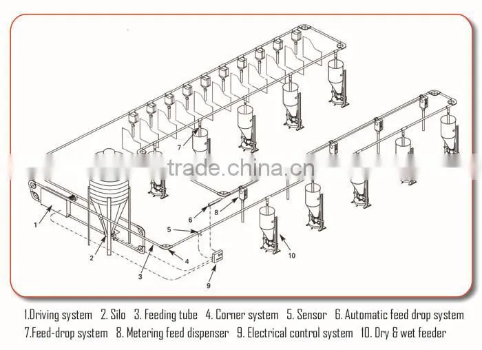 pig feeding equipments / automatic system