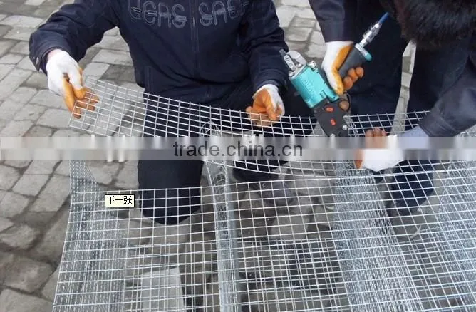 Stainless Steel Mink Cages /Fox Cage &Galvanized Mink Cage