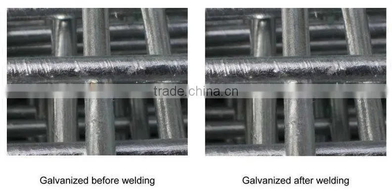 ISO9001 manufacturer chicken wire / heavy duty welded wire mesh panels
