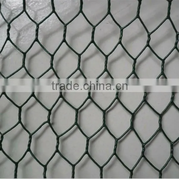 hexagonal wire mesh Manufacturer