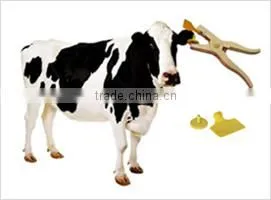 Plastic Livestock Ear Tag with Yellow Color