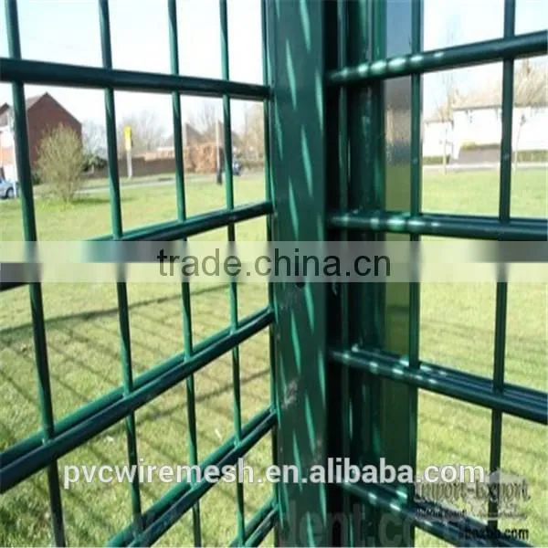 China Anping Double wire fence