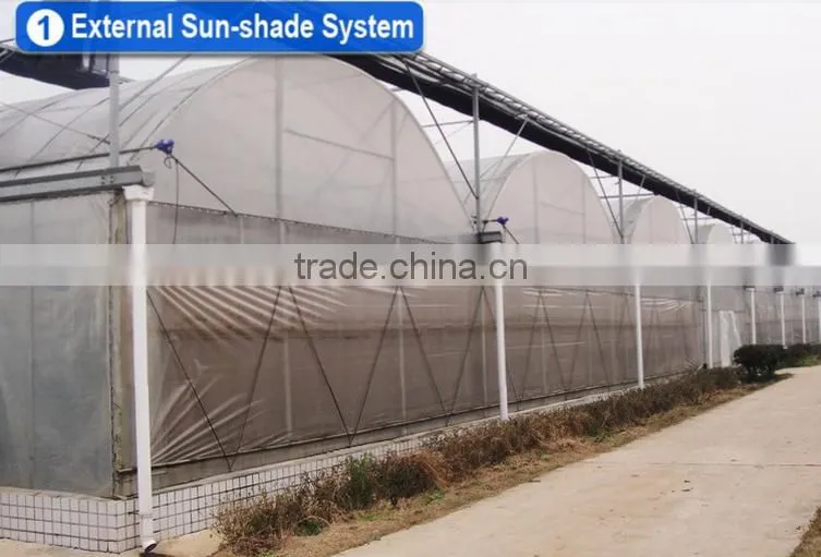 Cheap 30 x 100 greenhouse