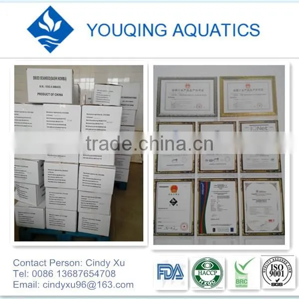undaria pinnatifida seaweed