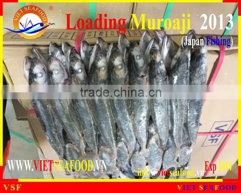 LOADING MUROAJI FOR TUNA BAIT