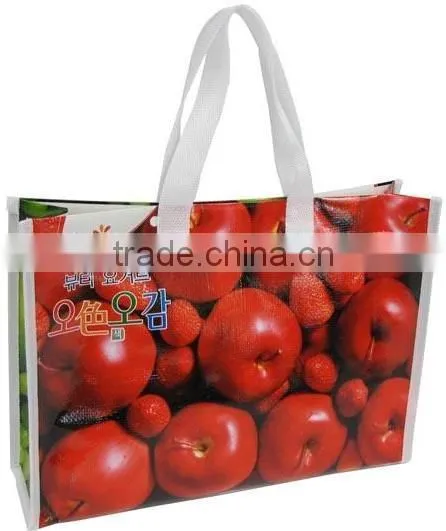 Non Woven Wine Tote Carry Bag