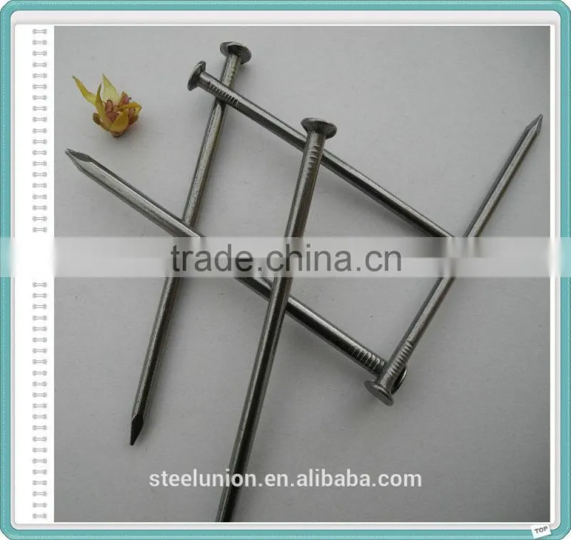 Iron Nail/Common Wire Nail/Common Iron Nails