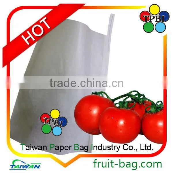 carambola paper star fruit growing paper bag