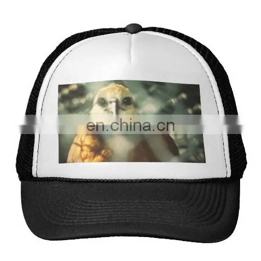 New arrival embroidery japanese baseball caps