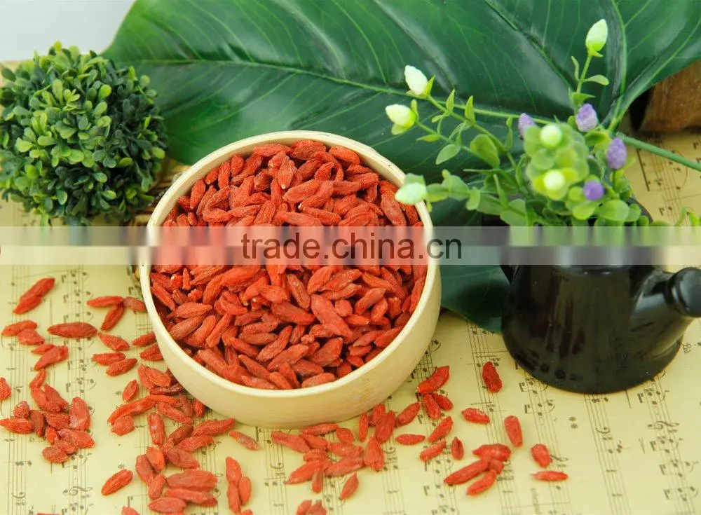 Chinese Dried Goji Berries - Dried Goji Berries - Goji Berries