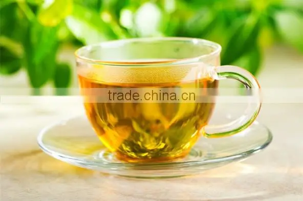 Green Tea to Burn Your Fat
