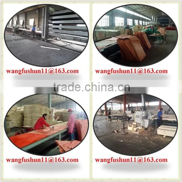 Malaysia poplar lvl poplar lvb for packing best poplar lvl poplar plywood made in china