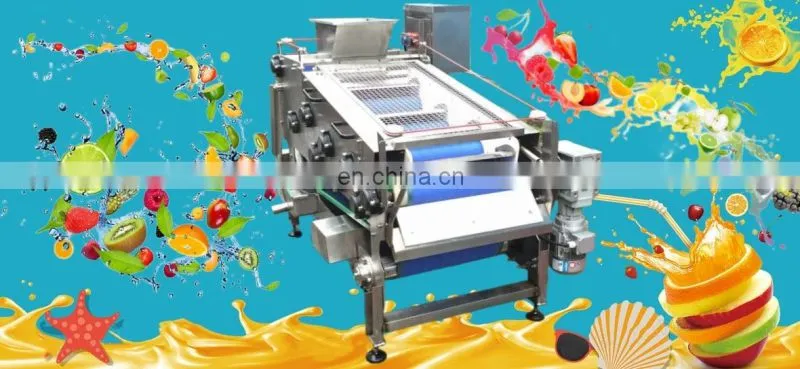 Shanghai Genyond Factory Compound apple juice pressing equipment extractor extracting machine plant fruit juicer machine