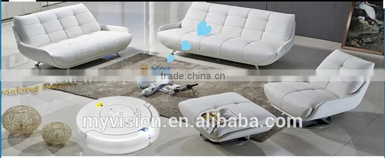 Outdoor vacuum cleaner with vacuum cleaner motor and road sweeper brushes