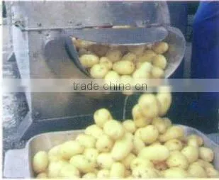 High efficiency ginger peeler machine/potato peeling machine