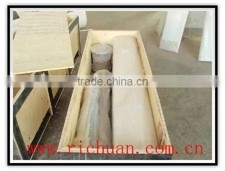 CE approved Richuan 300w mini vertical axis permanent magnet wind turbine generator