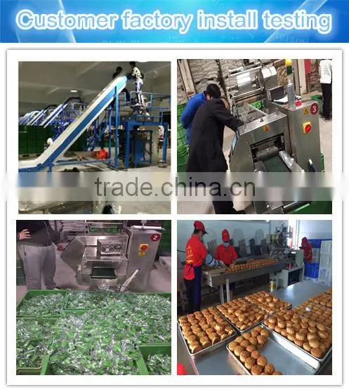 HDL tomato paste sachet packing machine