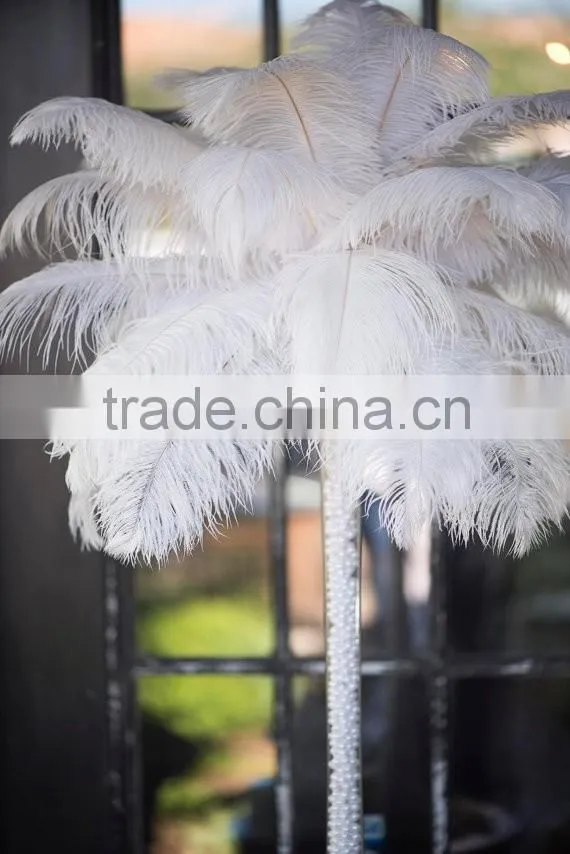 Wedding favors Wholesale white ostrich feathers