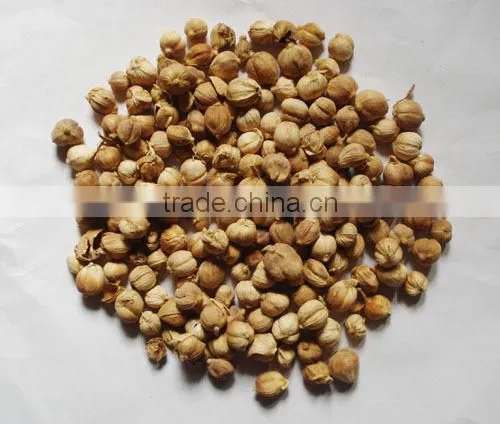 microwave sterilization machine for herbs