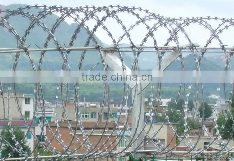 Manufacturing company selling cross razor wire fence/wire mesh prison fencing
