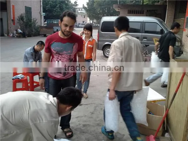 Small food packing machine ice package machine
