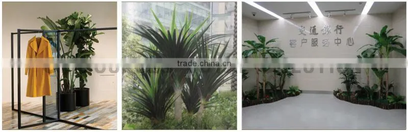 Home Decorative Artificial Bonsai Tree For Sale