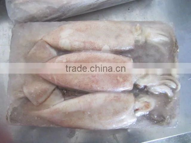 Whole squid