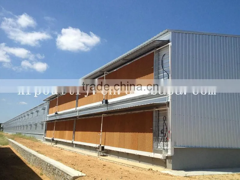 broiler chick shed equipment