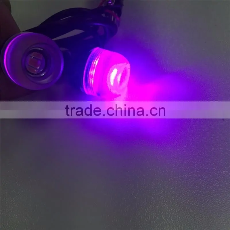 Jinxin License Plate Bolt Lights Black- Universal Truck and All Motorcycles