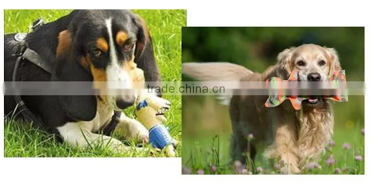 China Supplier Colorful Rainbow Soft Rubber Dog Chew TPR Best Dog Puzzle Toys