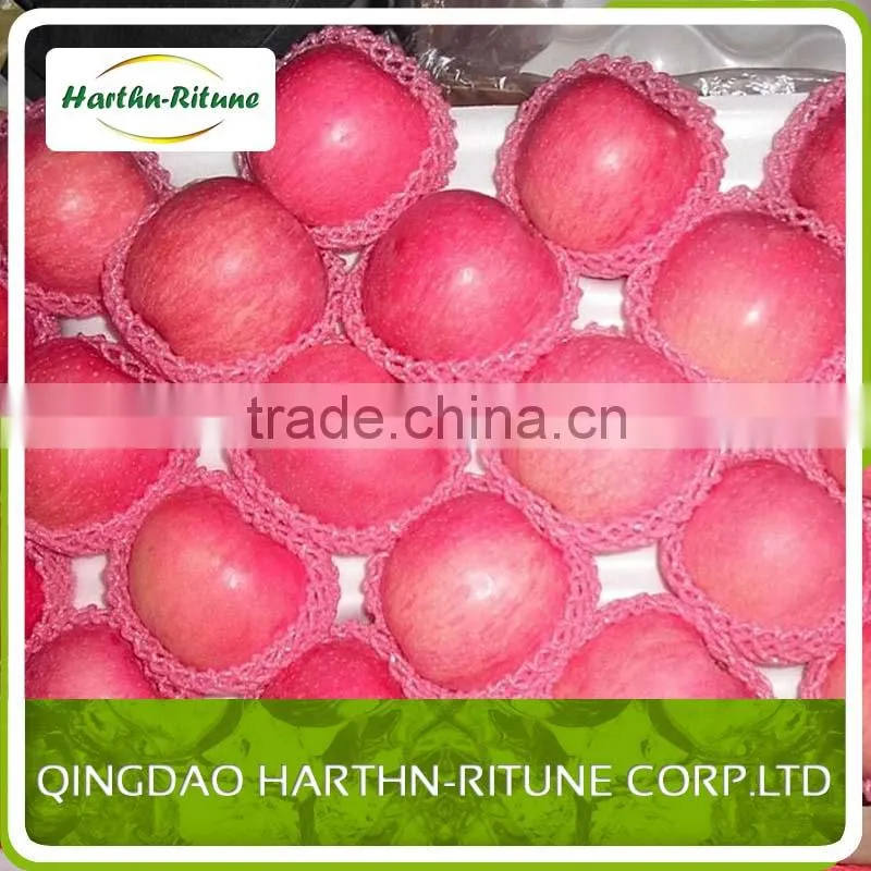 apple fruit red fuji apple