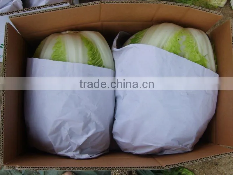 fresh round & long cabbage from China