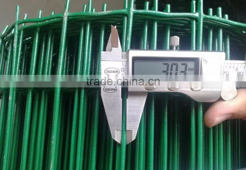green pvc coated welded holland wire mesh