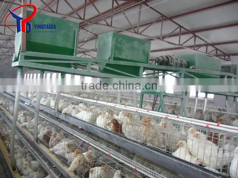 chicken grilling equipment