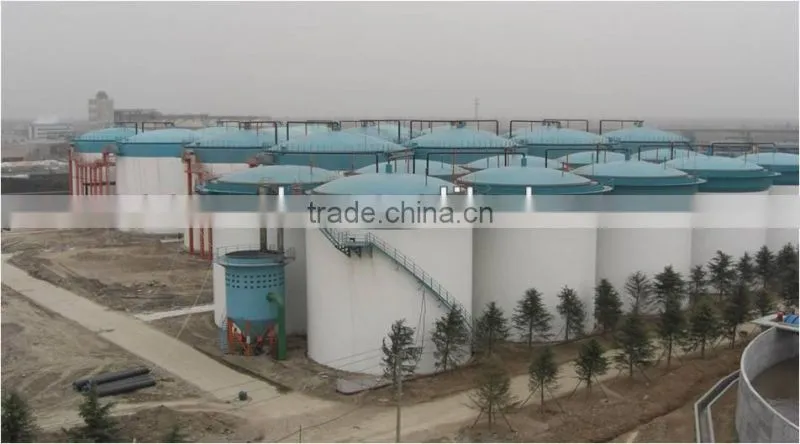500KW/1MW New Energy Waste Biomass Power Plant/Biogas Generation Project
