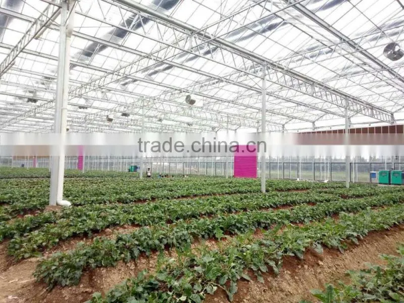 Greenhouse farm for sale 7090 evaporative cooler pad Malaysia