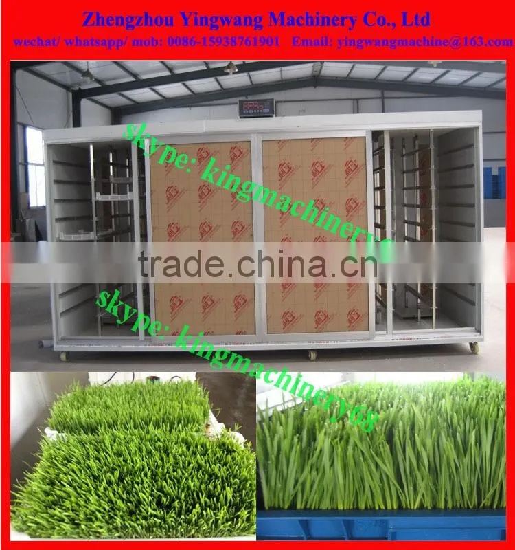 animal fodder green seedling growing machine