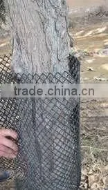 Tree Guard Mesh