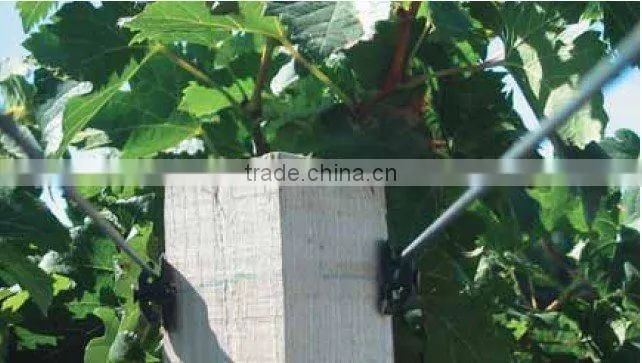polyester wire PETwire