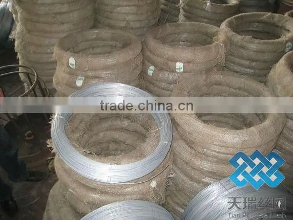 electro galvanized soft iron wire/Hot dipped galvanized iron wire
