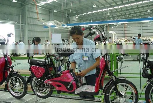 luxurious electric bike