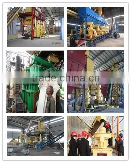 LIDA SG65x27 good price Hammer Mill Crusher with CE