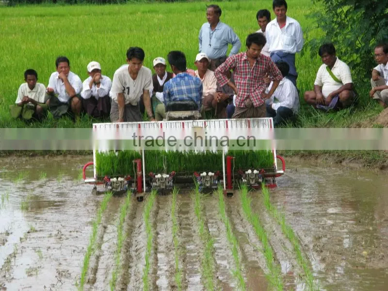 2Z-8238 rice transplanter