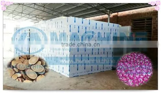 Most energy saving dried meat machines fruit drying oven cocoa drying machine