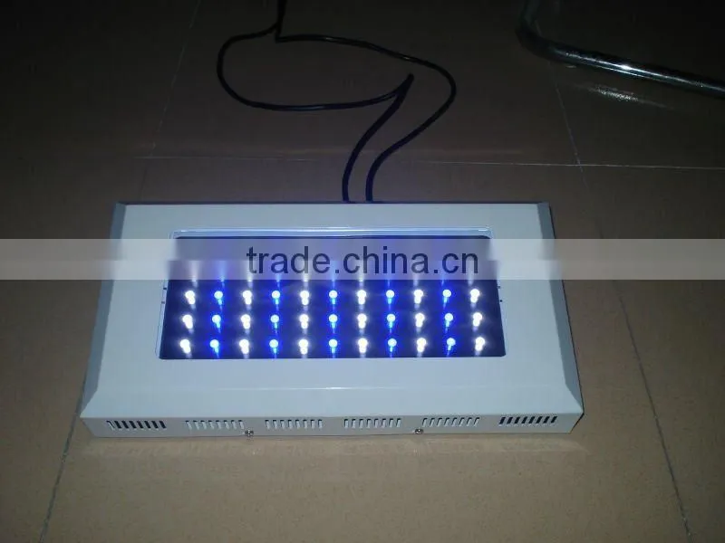 LED Aquarium Light with CREE 120 Watt 3 Watt High Intensity LED's