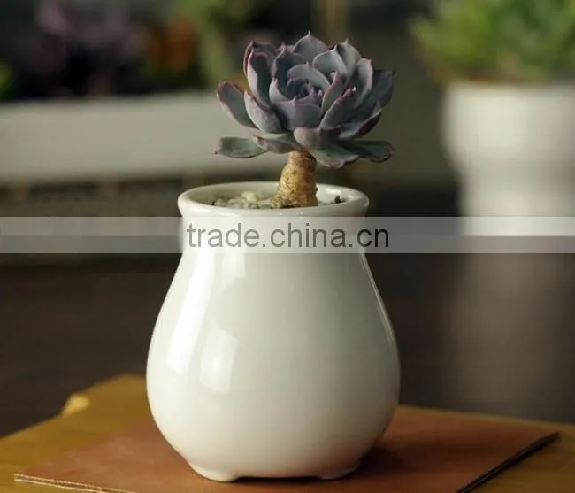 Attractive indoor glazed white ceramic small flower pots